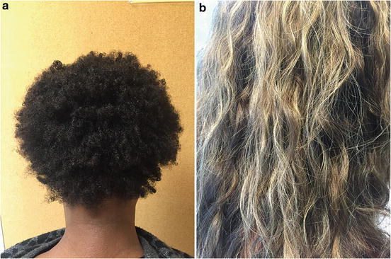 Developing A Healthy Hair Regimen Ii Transitioning To Chemical