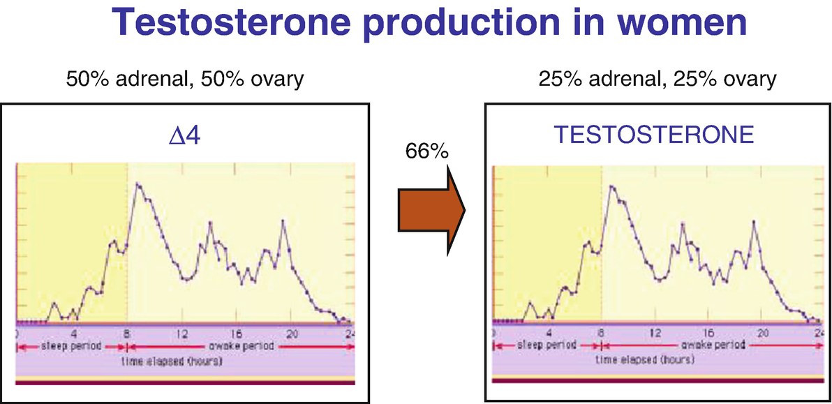 Testosterone And Women Springerlink
