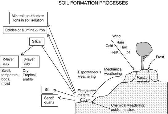 The Soil Physical Chemical And Biological Properties Springerlink