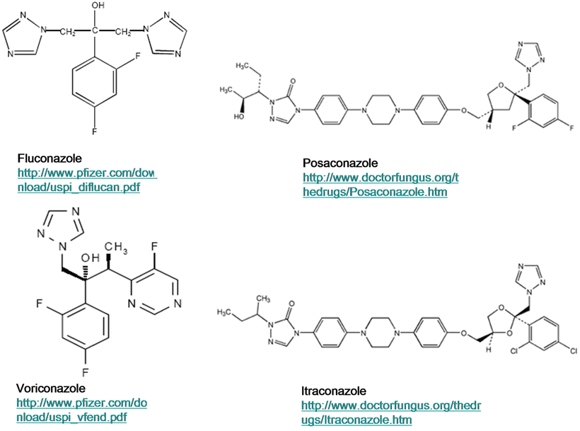 Antifungal Targets Mechanisms Of Action And Resistance In