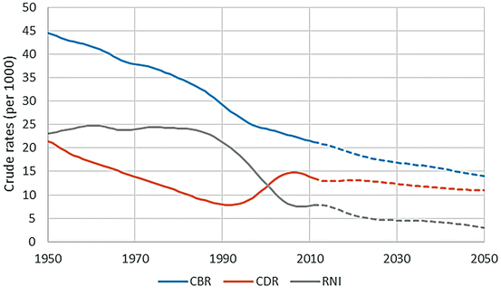 a case of an almost complete demographic transition south africa demographic transition definition
