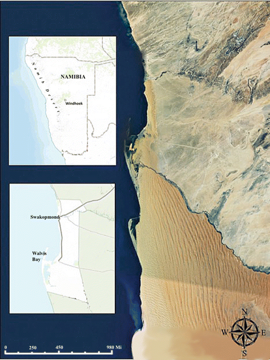 On Desolate Sands Beached Shipwrecks In The Namibian Coastal Landscape Springerlink