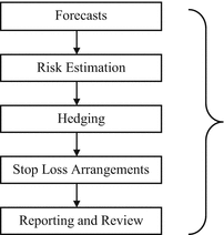 In Looking Into The Foreign Exchange Risk Management Springerlink - 