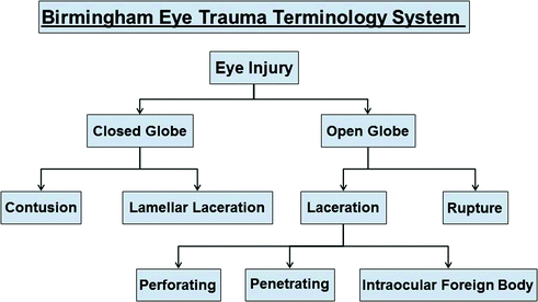 European Perspective Of Ocular Trauma Management Diagnostic And Therapeutic Considerations Based On Our Experience Springerlink