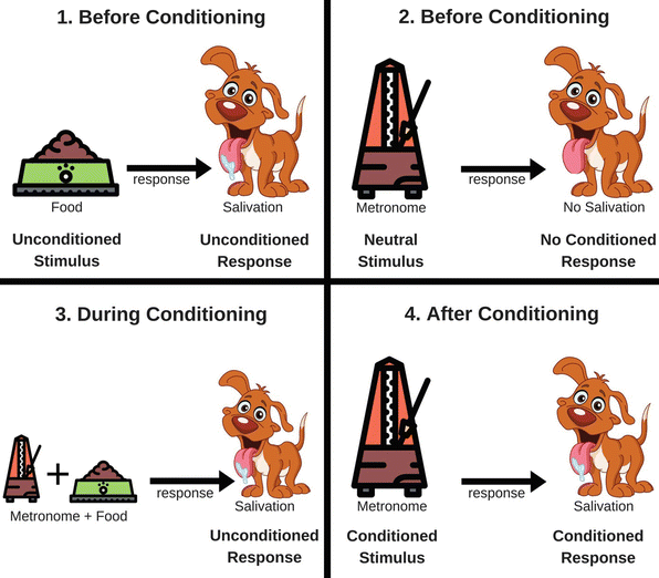 Behaviorism SpringerLink