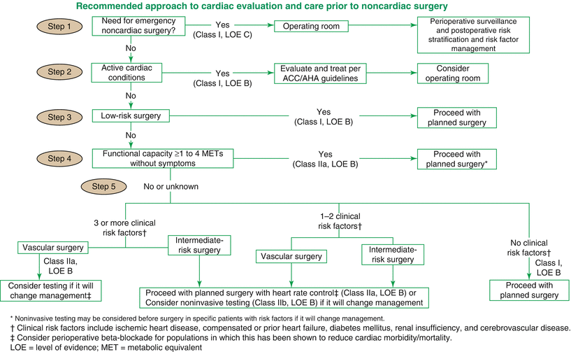 Operative Risk Stratification of the Geriatric Patient | SpringerLink