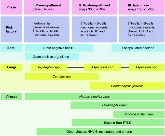 Bmt Settings Infection And Infection Control Springerlink