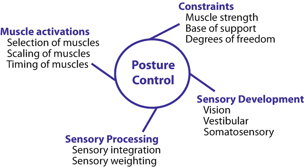Postural Control In Children And Youth With Cerebral Palsy Springerlink