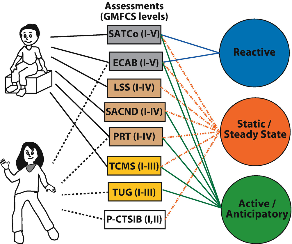 Postural Control In Children And Youth With Cerebral Palsy - 
