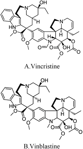 Vincristine and Vinblastine Anticancer Catharanthus Alkaloids:  Pharmacological Applications and Strategies for Yield Improvement |  SpringerLink