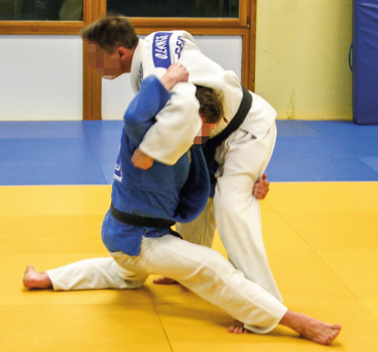 Finger Injuries In Judo Springerlink - 