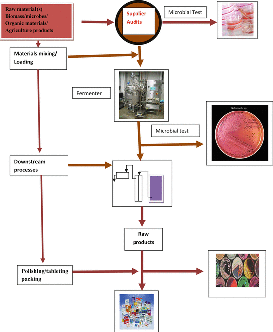 Concept Of Microbiological Processes Springerlink