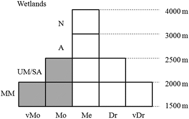 Plant Diversity Of The Central Great Caucasus Springerlink