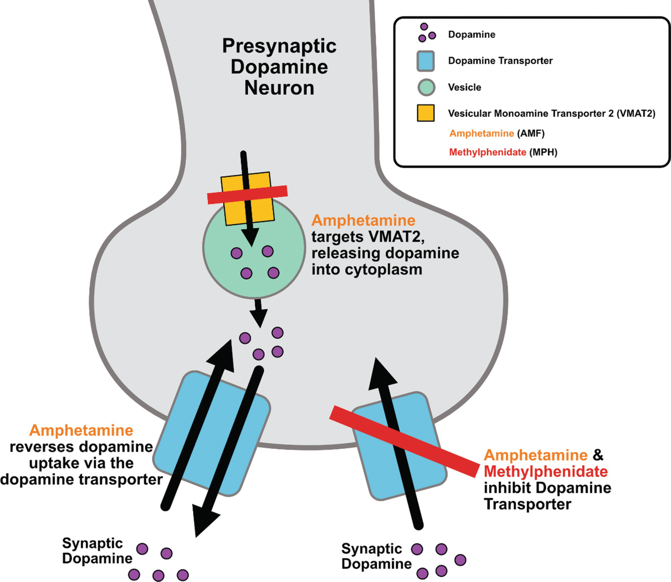 Stimulants Definition Pharmacology Indications Side Effects And Treatment Strategies Springerlink