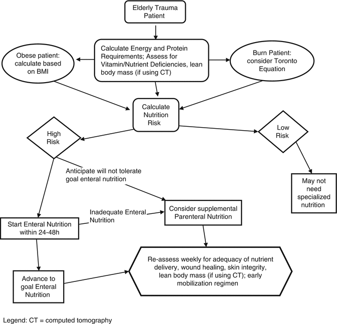 Nutrition Assessment And Therapy Springerlink