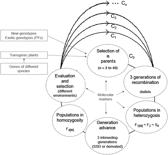 Recurrent Selection SpringerLink