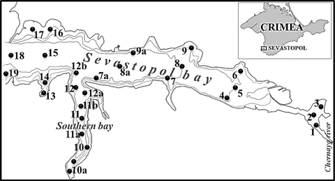 Oil Hydrocarbons In Bottom Sediments Of Sevastopol Bay Sw Crimean Peninsula Black Sea Spatial And Temporal Trends Springerlink