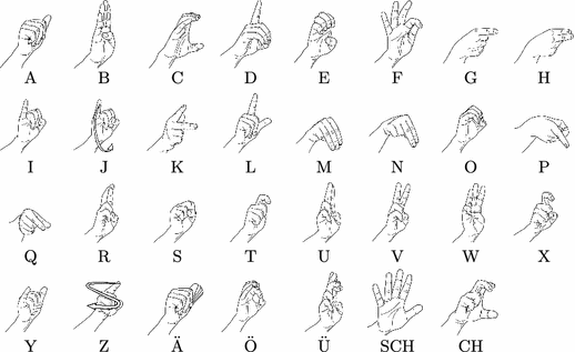 Evaluation of Animated Swiss German Sign Language Fingerspelling Sequences  and Signs | SpringerLink