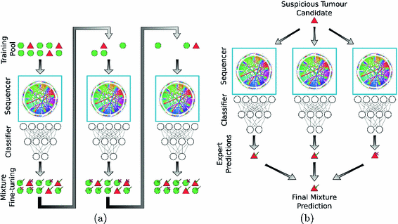 Discovery Radiomics via a Mixture of Deep ConvNet 