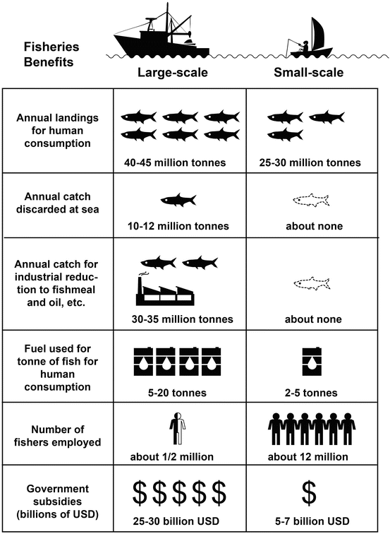 The Values of SmallScale Fisheries SpringerLink