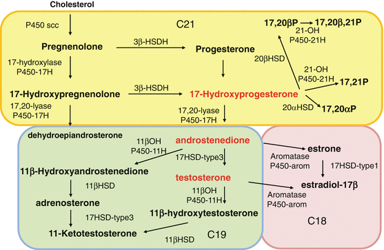 steroide que prendre Abuse - How Not To Do It