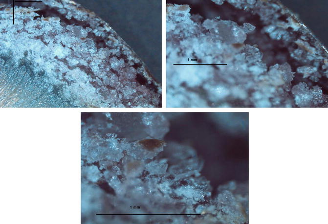 Sugar And Sugar Free Panned Confections Springerlink