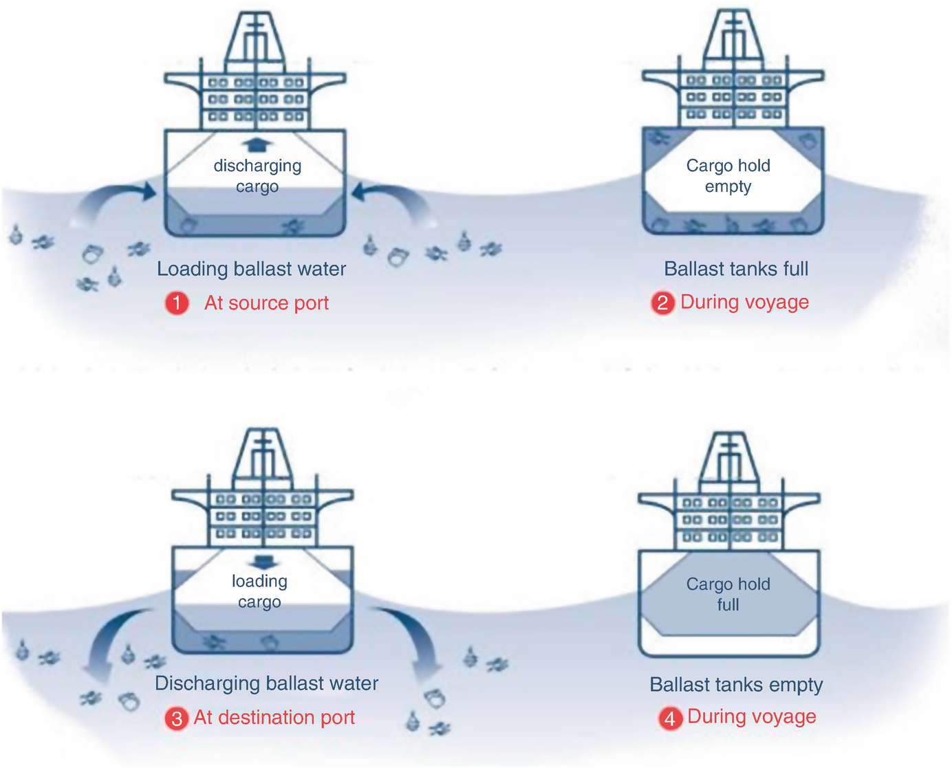 Effect Of Ballast Water On Marine Ecosystem Springerlink