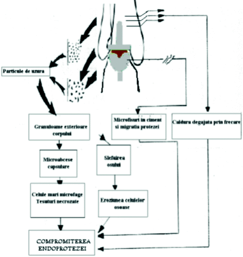 agent de frecare articular
