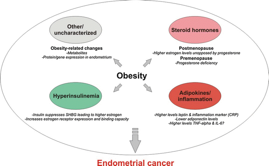 endometrial cancer obesity
