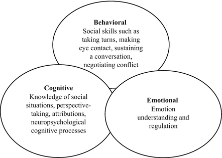 behavioral and social cognitive
