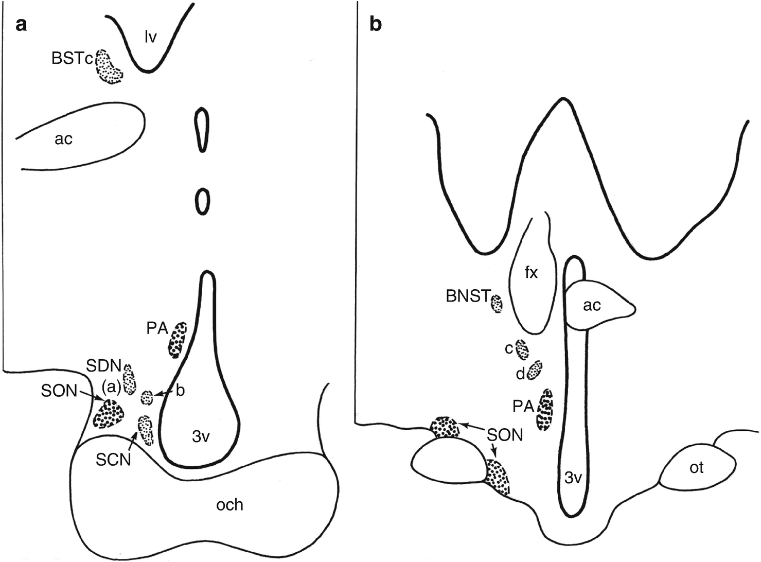 neuroanatomy made ridiculously simple sdn neuroanatomy made ridiculously simple sdn