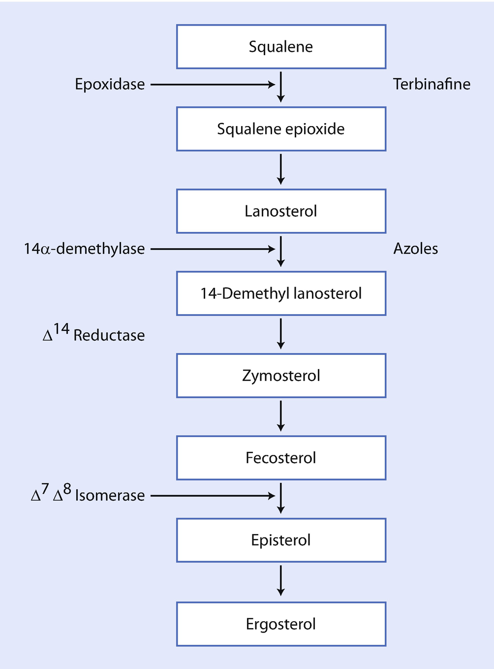 Systemic Therapy Of Onychomycosis Springerlink
