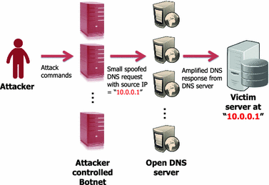 Preventing DNS Amplification Attacks Using the History of DNS Queries ...