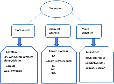 biopolymer removal