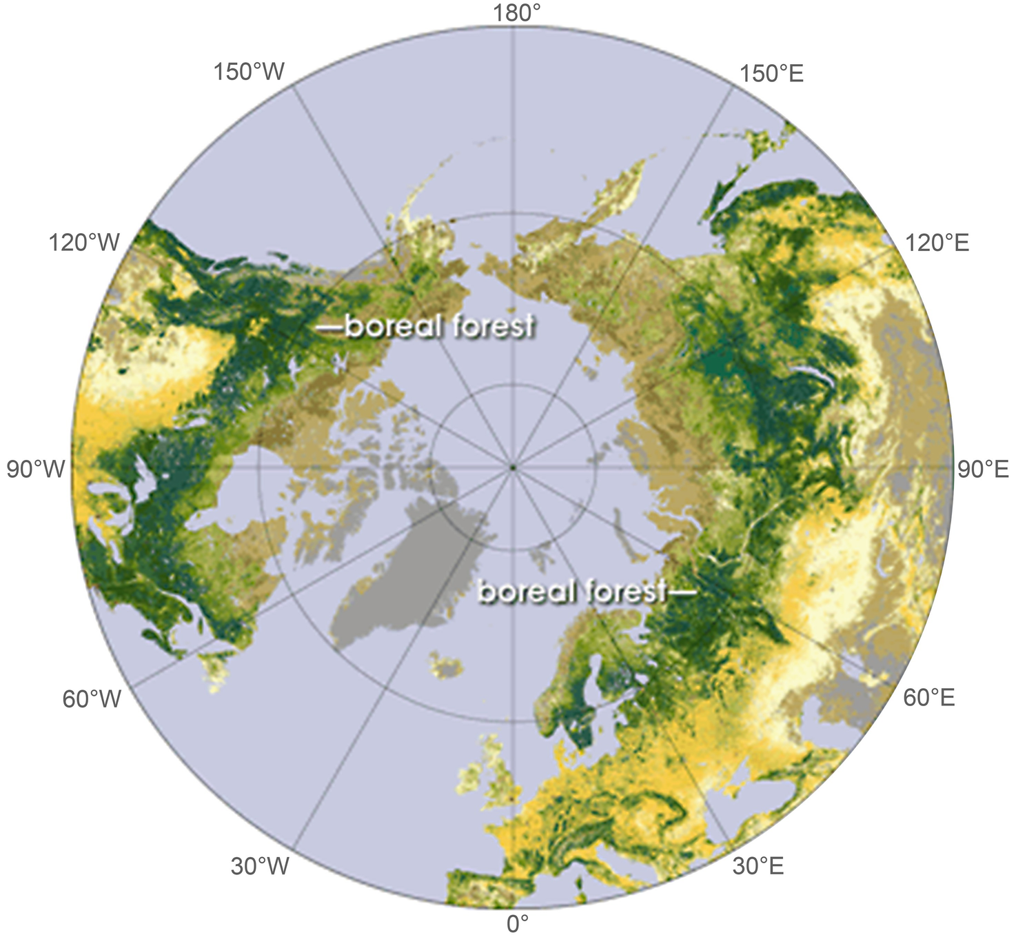 Boreal Forest World Map Boreal Forests: Distributions, Biodiversity, And Management | Springerlink