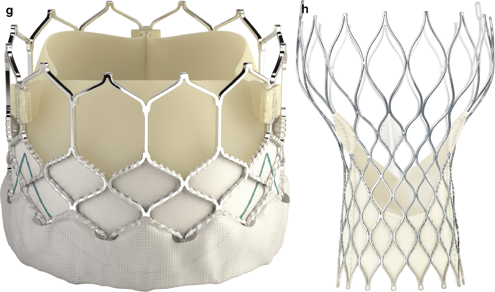 Replacement Heart Valves Springerlink