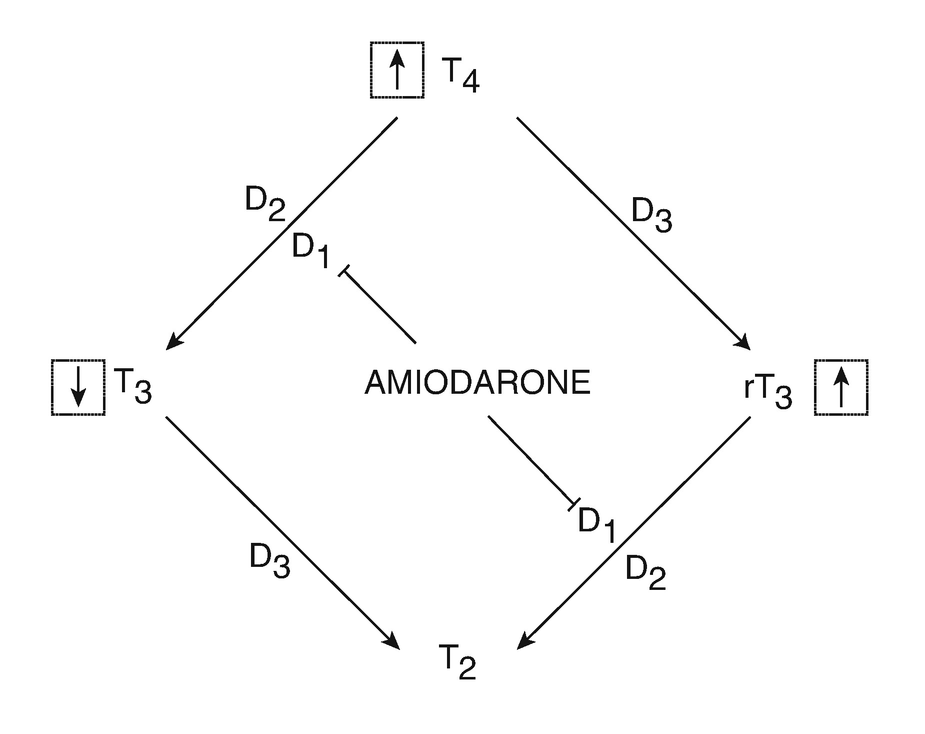 stromectol best price