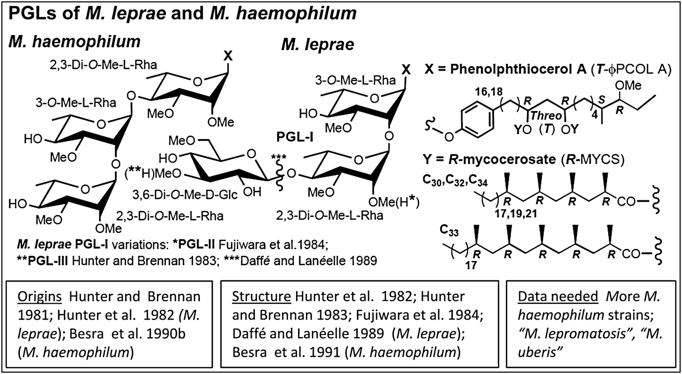 Lipids Of Clinically Significant Mycobacteria Springerlink