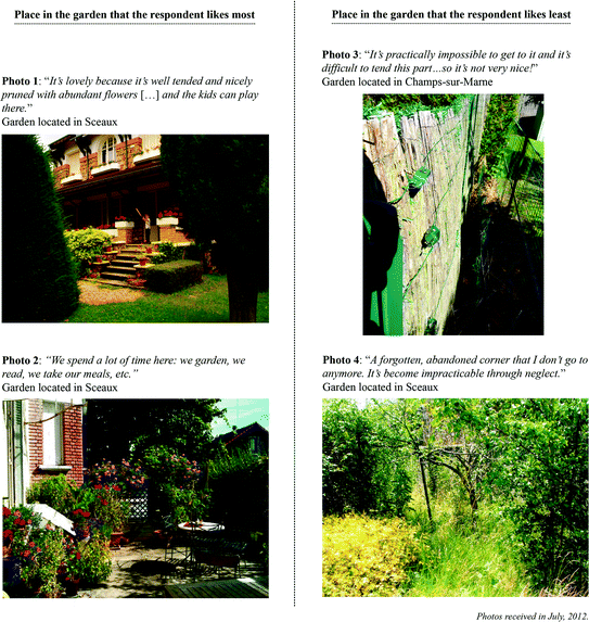 Making Space For Disorder In The Garden Developing Biophilia To