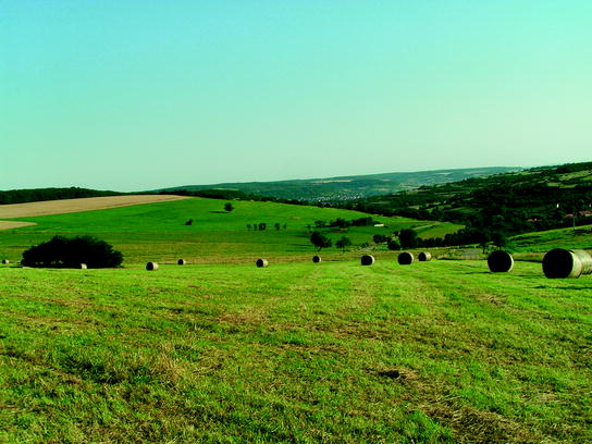 The Social Genesis Of Definition Landscape Springerlink Open Image In New Window