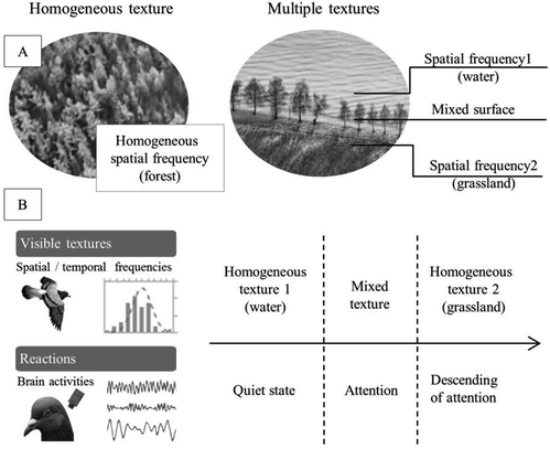 visual perception of mixed homogeneous textures in flying pigeons