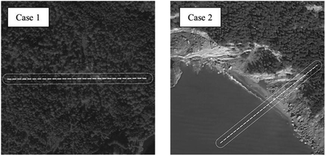 visual perception of mixed homogeneous textures in flying pigeons