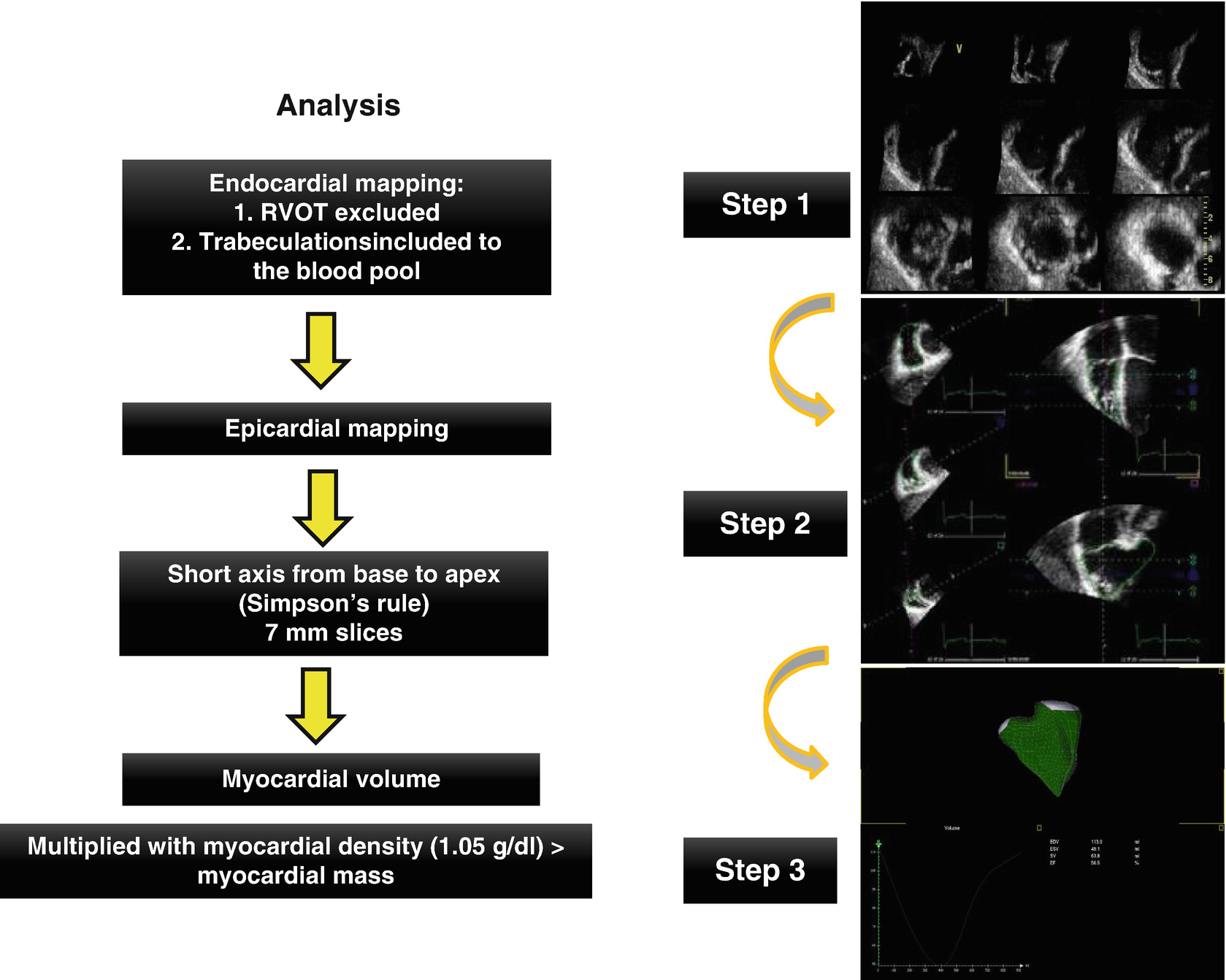Echocardiography Of Right Heart Springerlink Echocardiography Of Right Heart Springerlink