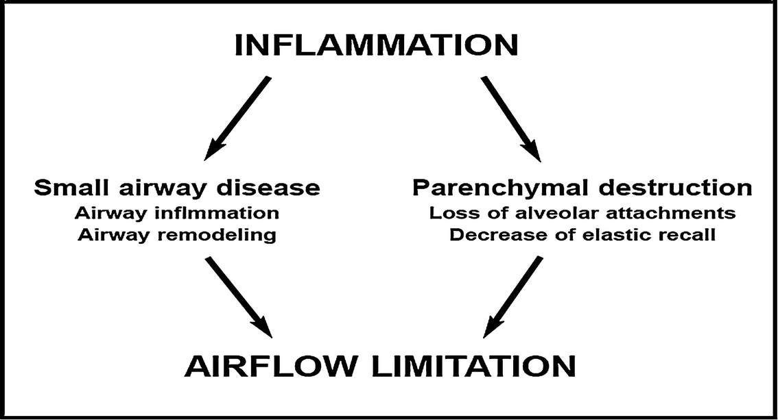 Management Of Chronic Obstructive Pulmonary Disease Springerlink Management Of Chronic Obstructive Pulmonary Disease Springerlink