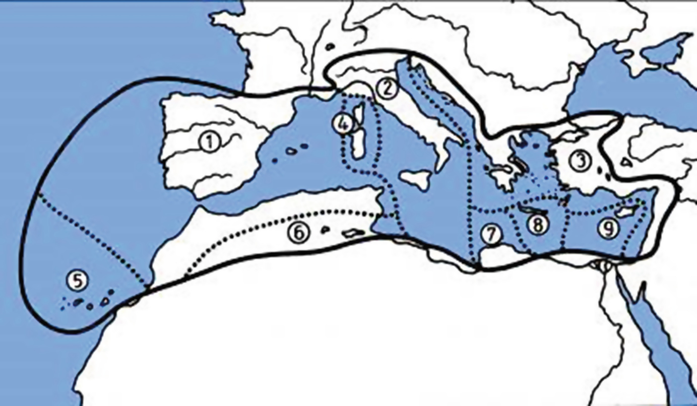 Regional Arachnogeography Springerlink - 