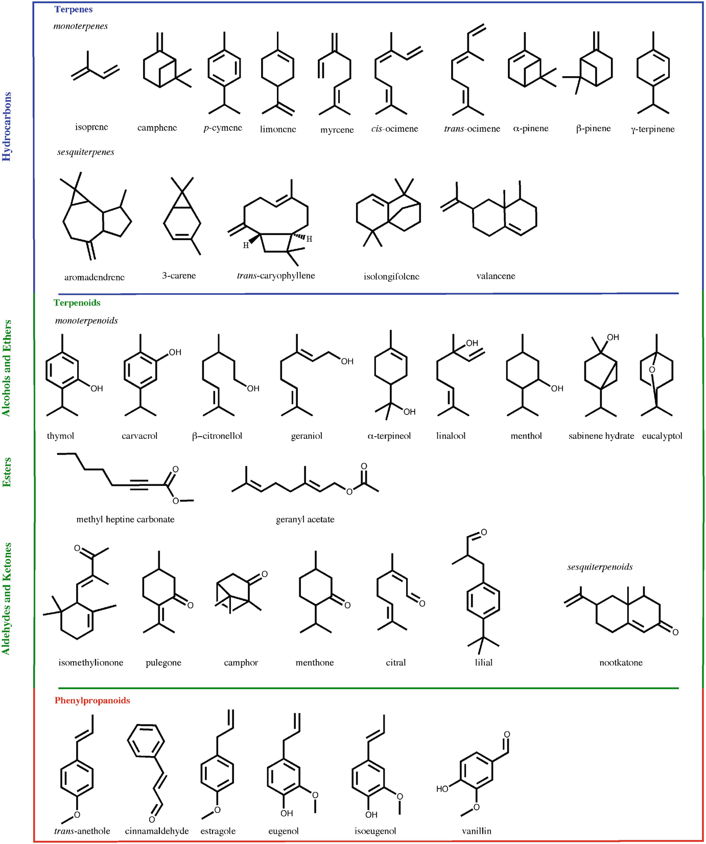 Cyclodextrins for Essential Oils Applications  SpringerLink
