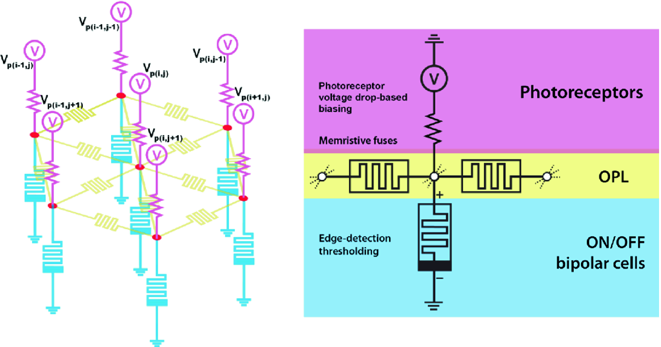 Computing Image And Motion With 3 D Memristive Grids Springerlink