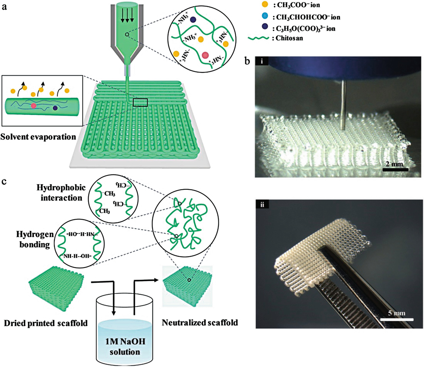 Chitosan-Based Hydrogels: Preparation, Properties, and Applications ...