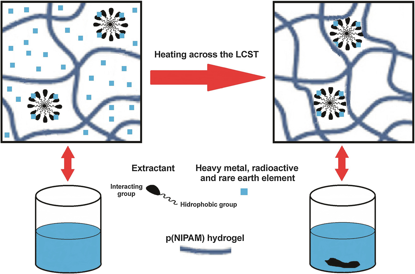 Synthetic Hydrogels and Their Impact on Health and Environment