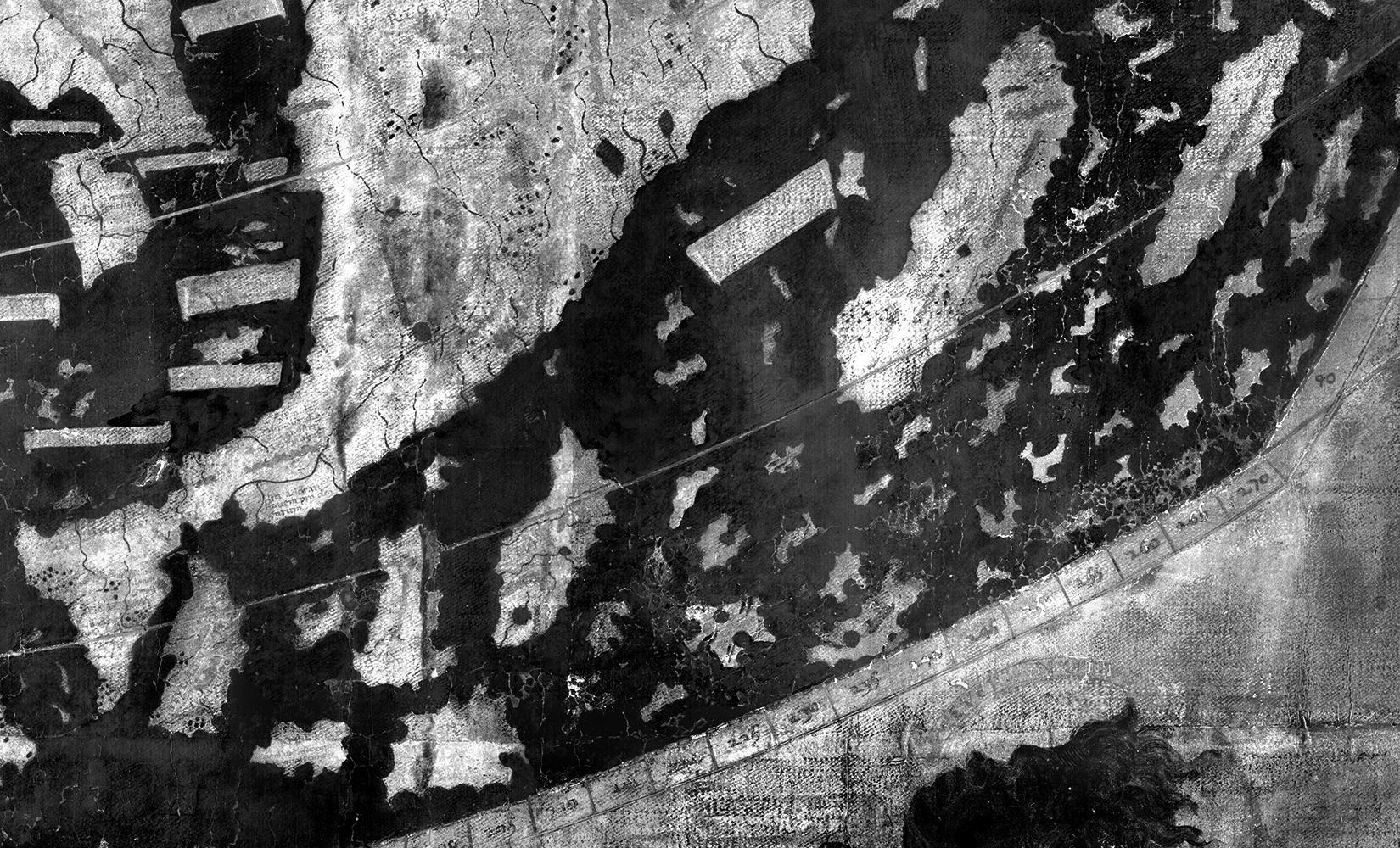 The Legends on the Yale Martellus Map  SpringerLink